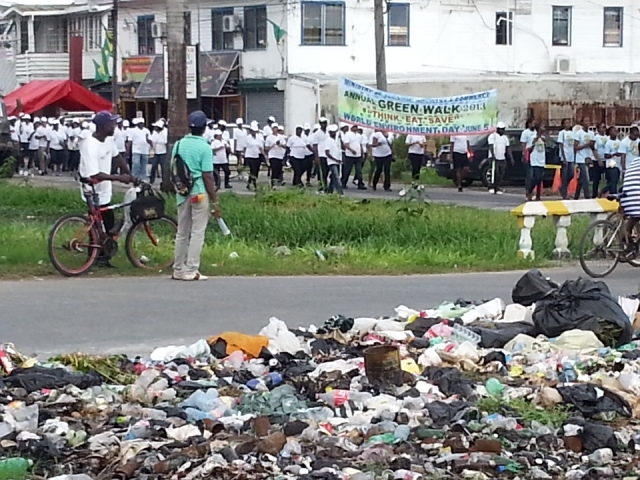 World Environment Day walk not all eco-friendly