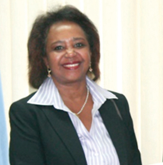 UN Rep. urges caution on foreign investment in natural resources