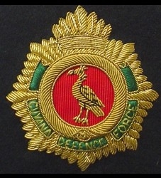 Mark Phillips promoted to Brigadier, to be new GDF Chief