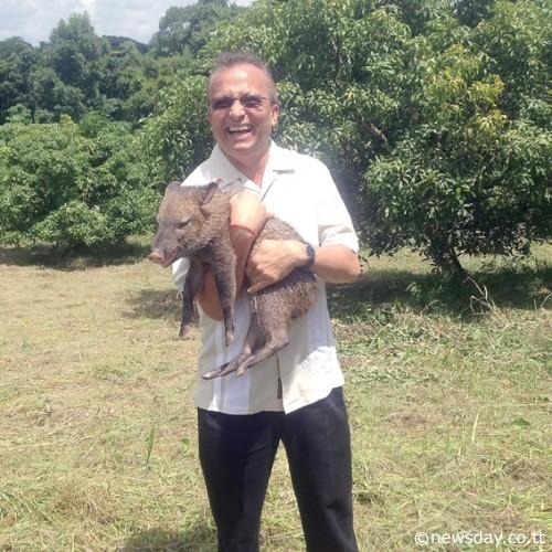 Guyana’s agoutis, wildhogs to stock TT wildfarm