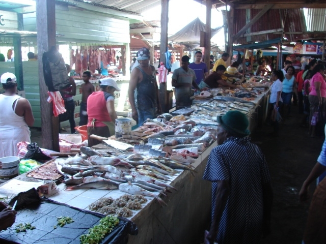 Caribbean fisherfolk mobilise for stronger representation