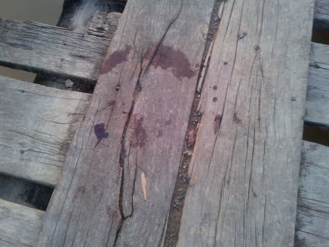 14-year old shooting death: Several questioned, hands swabbed