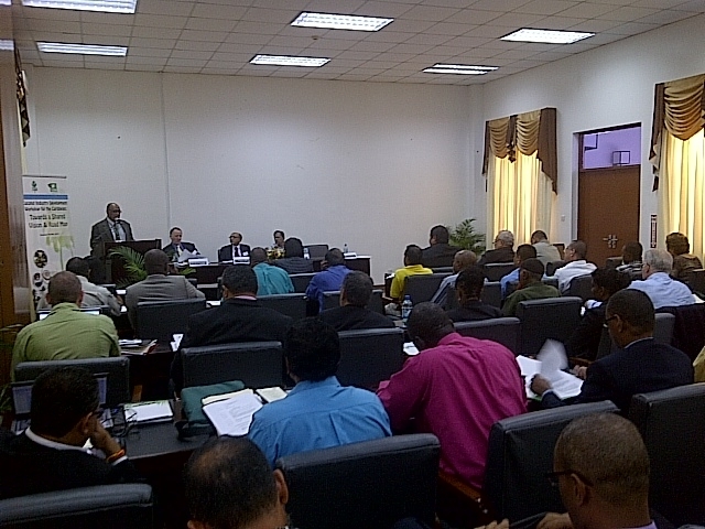 Caribbean’s coconut industry needs new approach