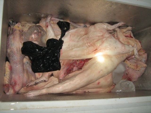 Crackdown on illegal hunting, fishing begins