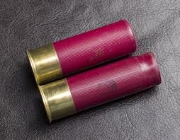 Shotgun ammo intercepted in Georgetown Prison