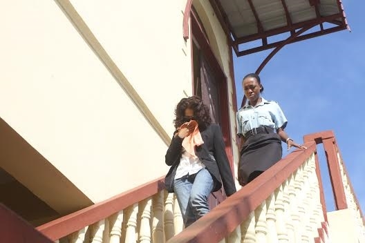 Elderly American, Burrowes School of Art model charged with cocaine-in-achar trafficking