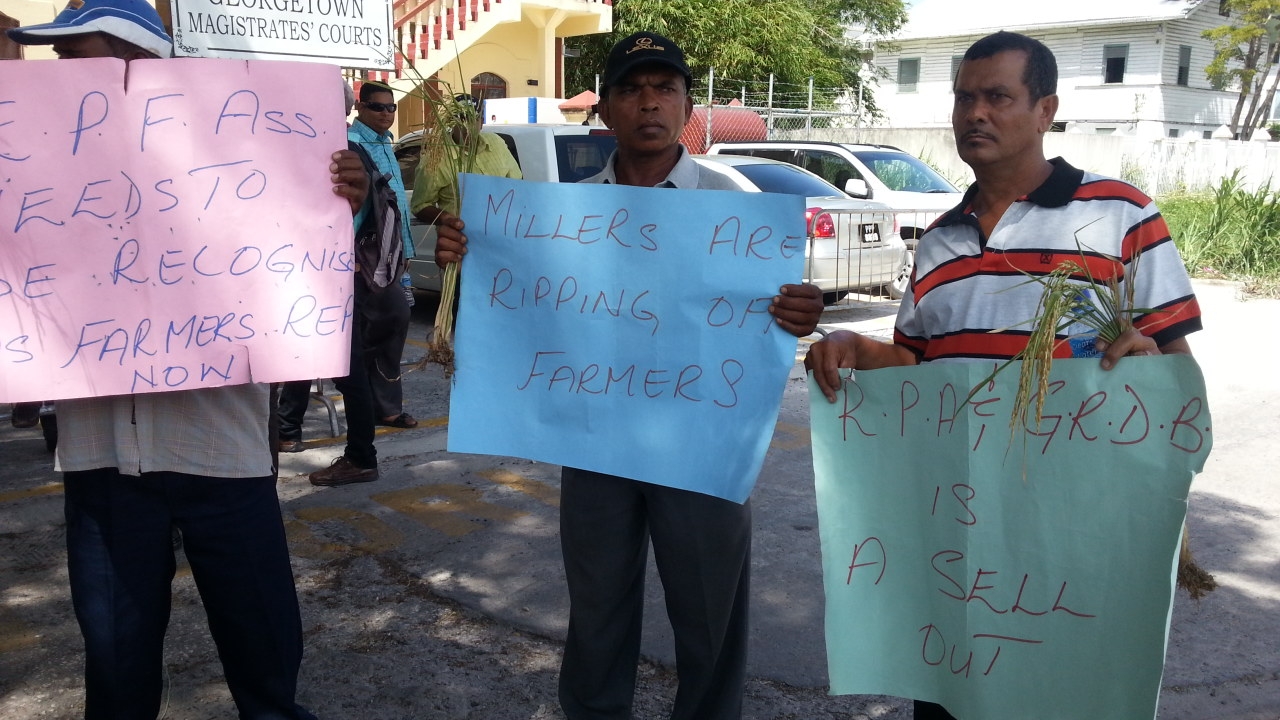 Essequibo rice farmers picket budget reading
