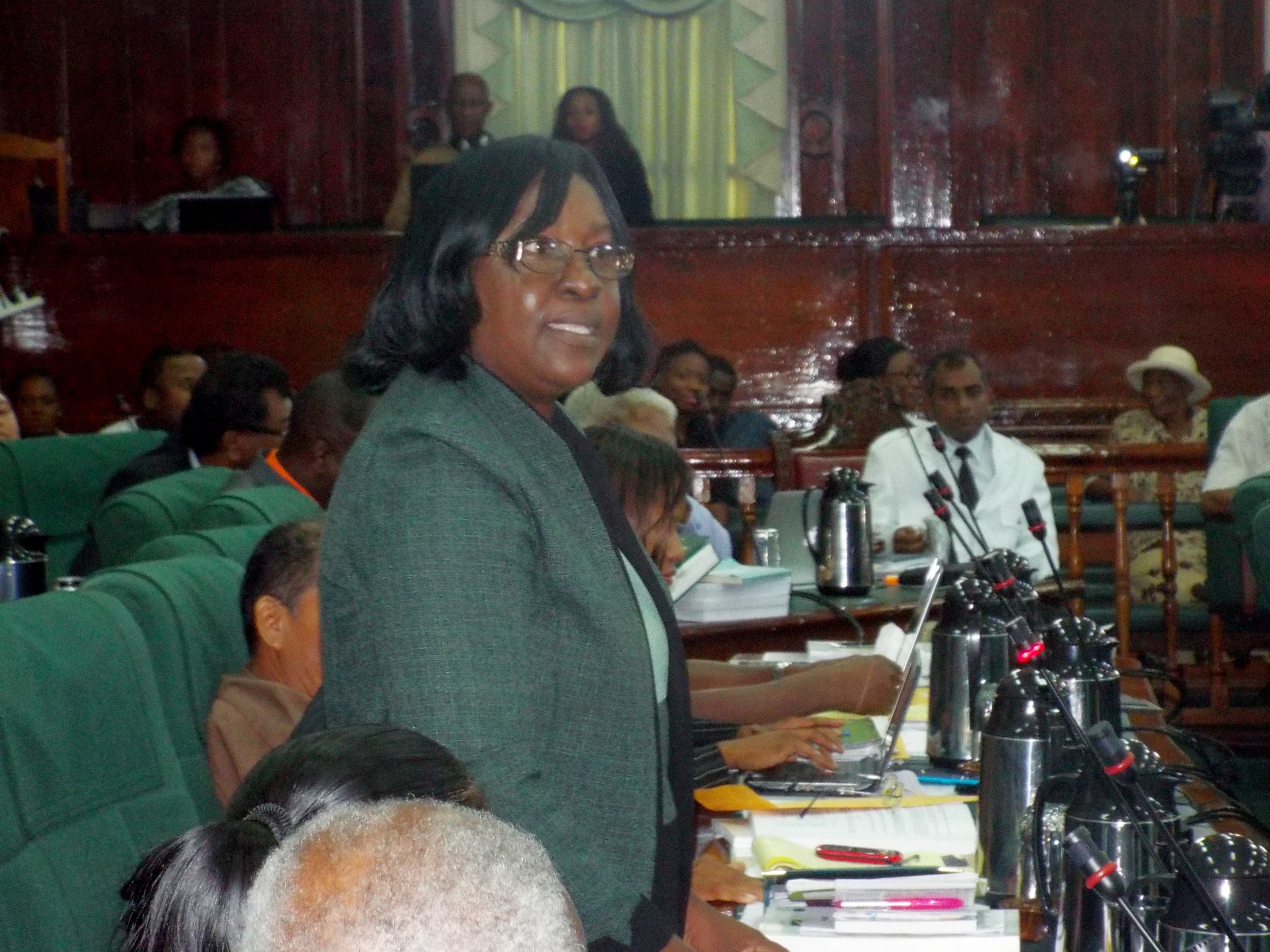 BUDGET DEBATE: Macro focus neglecting the people – Dr. Cummings