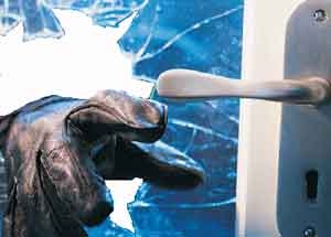 Two jailed for stealing from old New Thriving