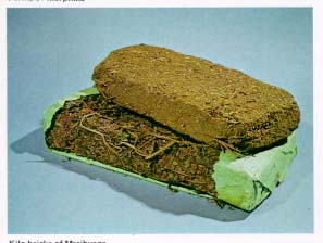 Barbados-bound woman caught with marijuana, cocaine at Ogle Airport