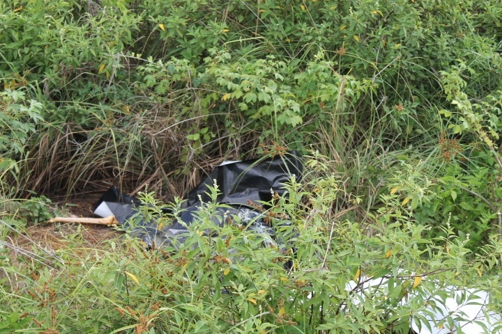 Woman died of stab wounds- autopsy