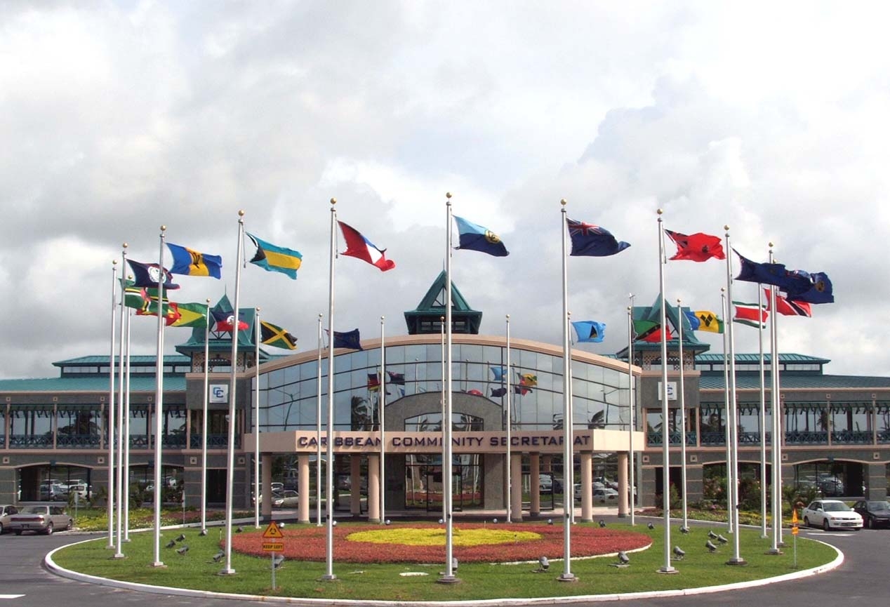 Guyanese to learn animation to address youth crime, protect culture