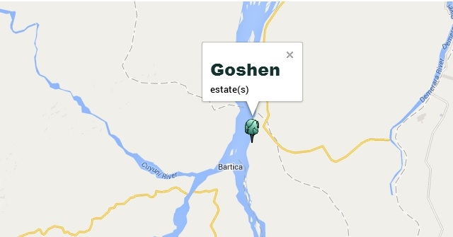 Woman dies in Essequibo River boat collision