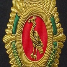 GDF Instructors allegedly assault Officer Cadet