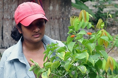 University of Missouri- St. Louis Biology PhD student awarded grant for field research in Guyana