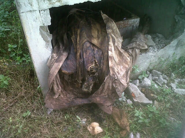 Murder victim’s tomb vandalized, head chopped off and taken away