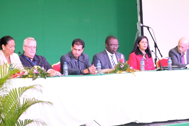 Haiti’s family-farming reaping rewards