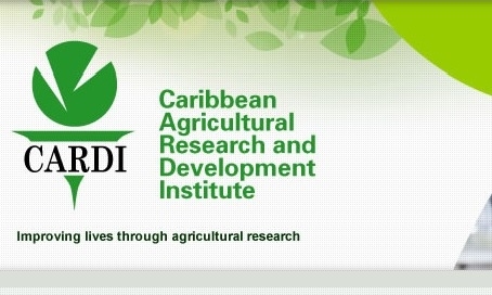 CARDI’s overworked, underpaid staff complain to Board of Governors