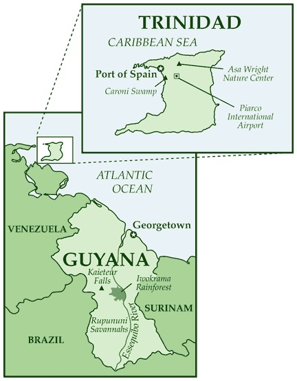 Caribbean News Desk Radio prog: Trinidad and Tobago sets up “elite” group to tackle school gangs… No-confidence motions in St Kitts and Nevis, Guyana