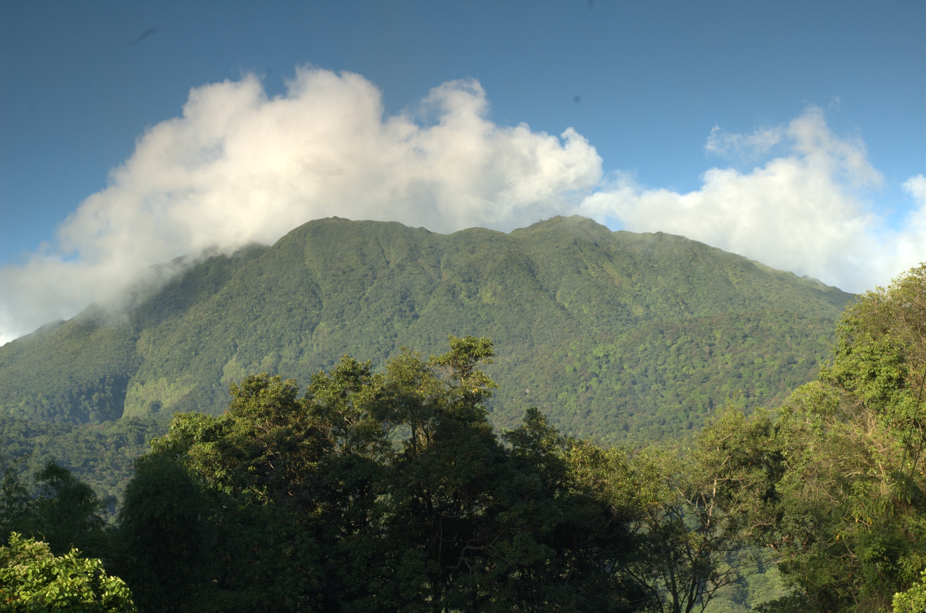 Dominica hotel project offers citizenship to investors