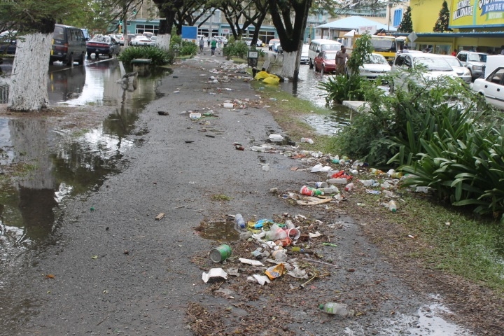 Caribbean News Desk radio prog: Guyana flooded; Caribbean Airlines boss takes home US$30K