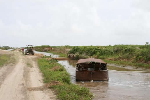 “Cash flow problem” delays incentive pay-out at two Berbice sugar estates