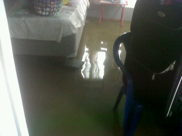 Essequibo Coast residents, farmers battling severe flood