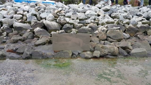 Nude body of woman found on foreshore