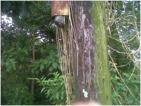 GT&T offers rewards for info leading to capture of vandals