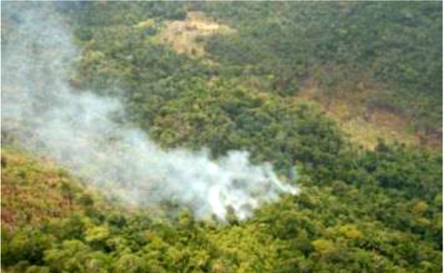 Forest fires in Rupununi