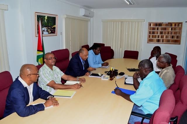 Team to probe collapse of mining pits named