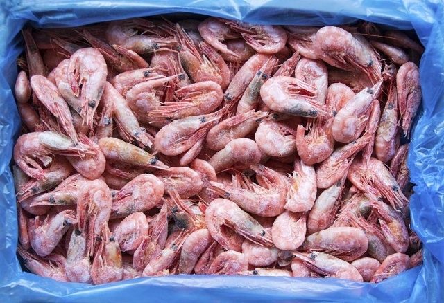 New York Feds find $12 million worth of cocaine inside shrimp from Guyana