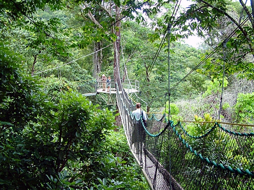 Cash-strapped Iwokrama gets govt grant