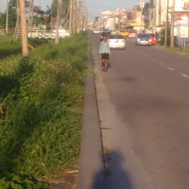 Committee to decide on weeding pavement while pedestrians’ lives are at risk- City Mayor
