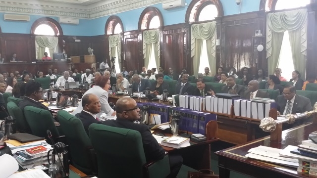 ‘Teeth’, ‘tief’ and rice cereal at Budget Debate