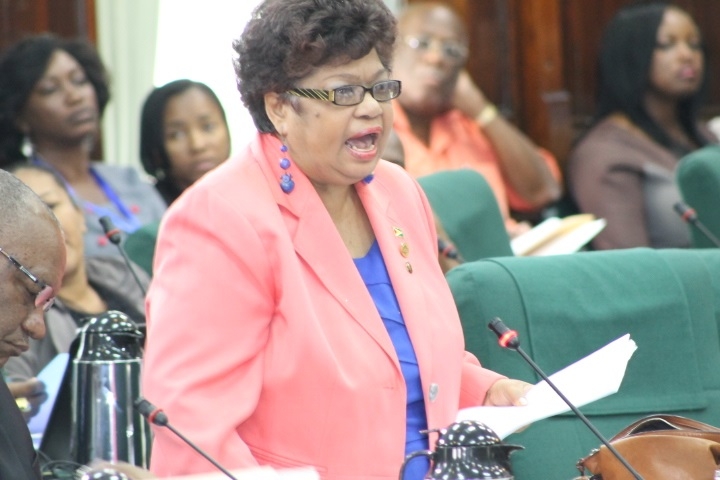 Local govt system to implement Social Cohesion programmes