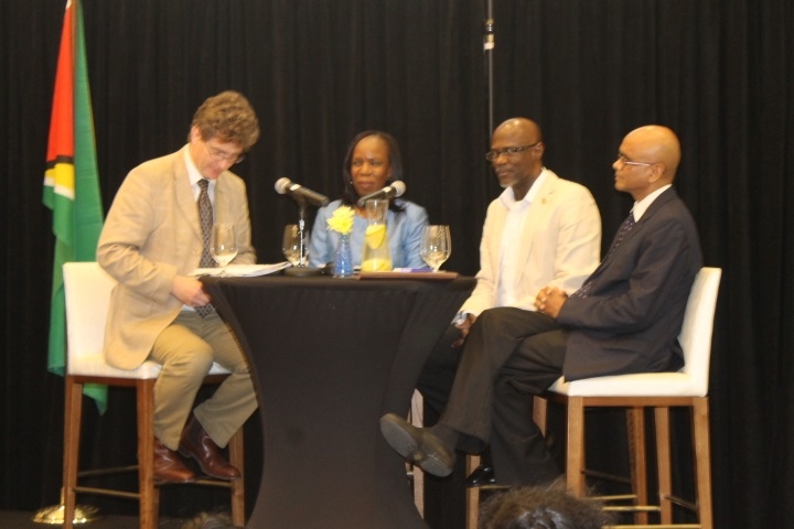 Experts differ on whether Guyana should focus heavily on hydro-power