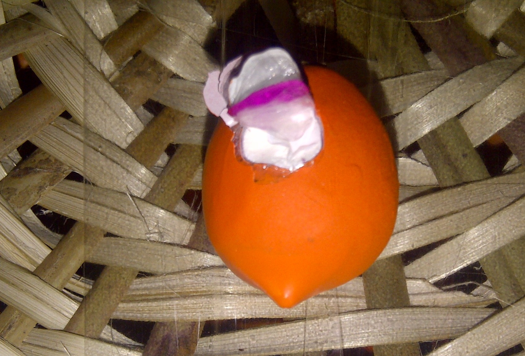 CJIA infrastructural lackings spotlighted as Dynamic looks to expand into export