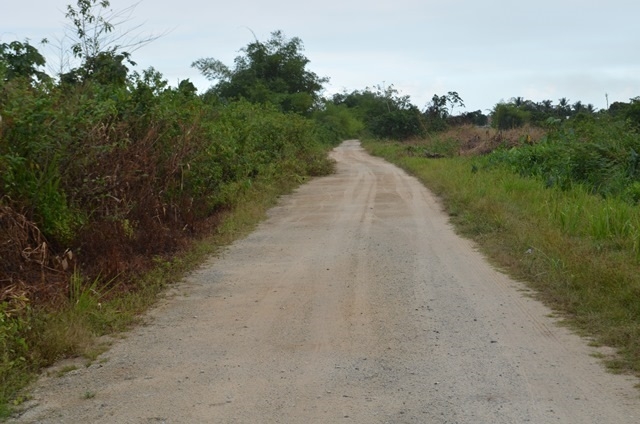 Del Conte road project to be a boon to farmers and miners