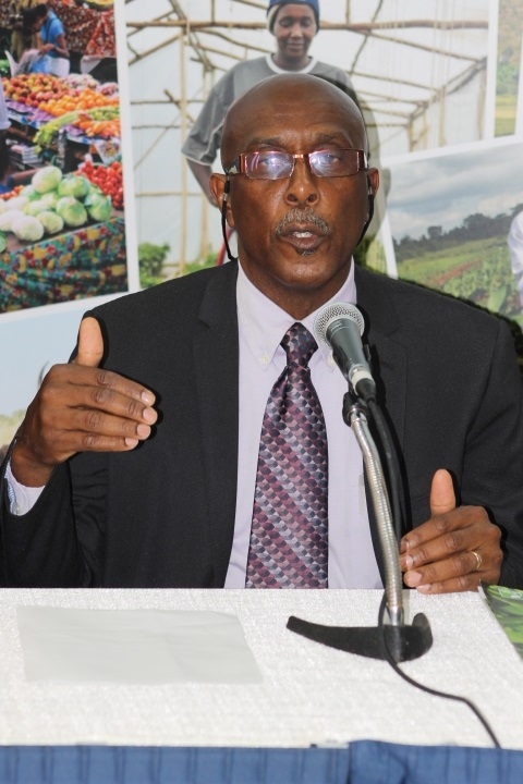 Caribbean countries to reduce imports of wheaten flour, white potatoes