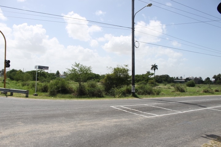 Land leased to Jagdeo’s friend, Ed Ahmad, in one week; new govt scraps arrangement