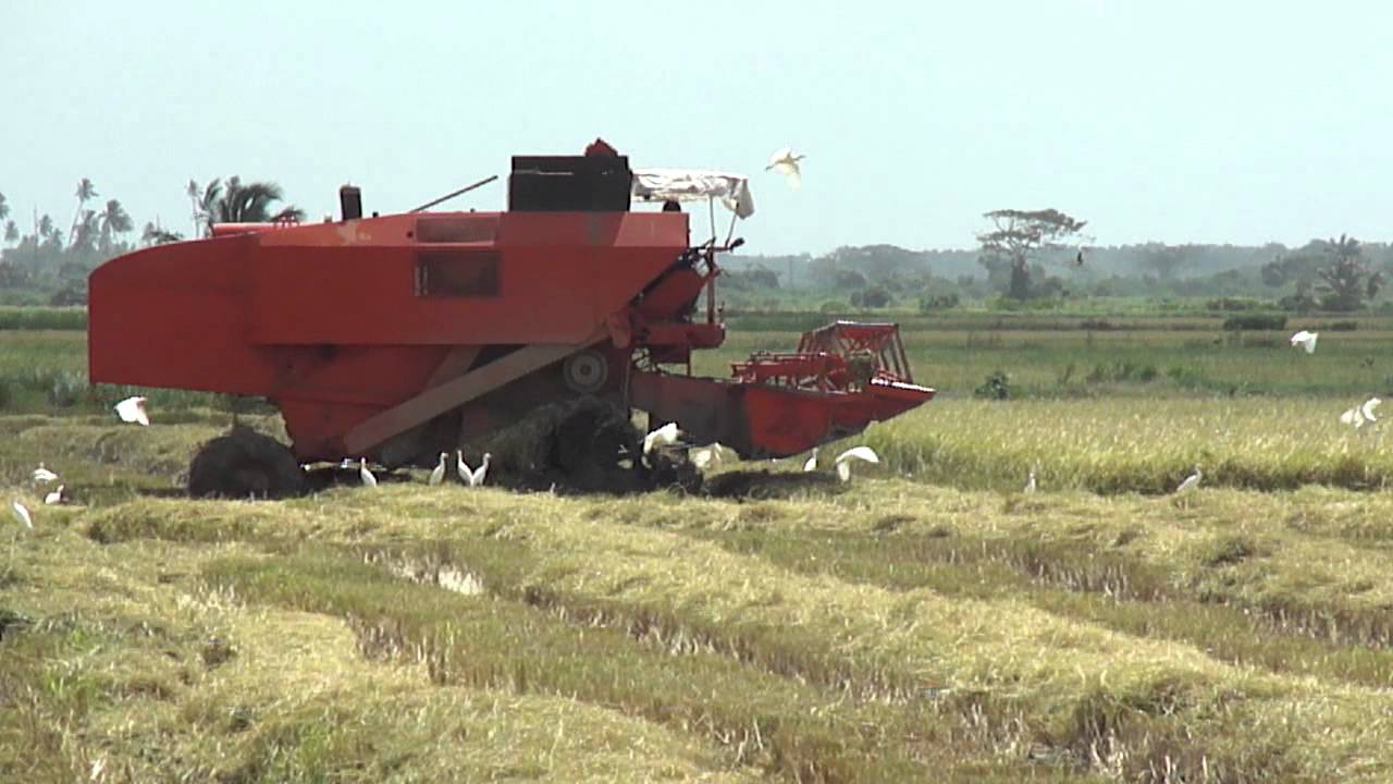 Drought affecting agri sector