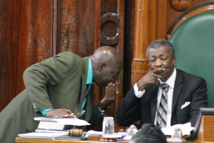 House surmounts quandary for consideration of estimates for constitutional offices