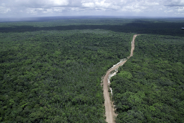 “We were the best stewards of the forest” – Jagdeo says natural resources sector in “shambles”