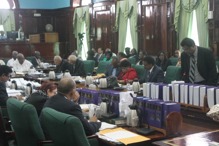 Illegal guns could skyrocket with higher license costs – Rohee tells House