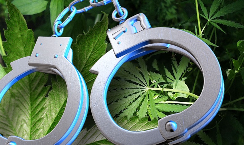Mini-bus driver jailed, fined three times value of marijuana
