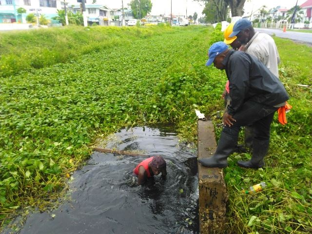 Flooding averted in section of Queenstown after culverts cleared