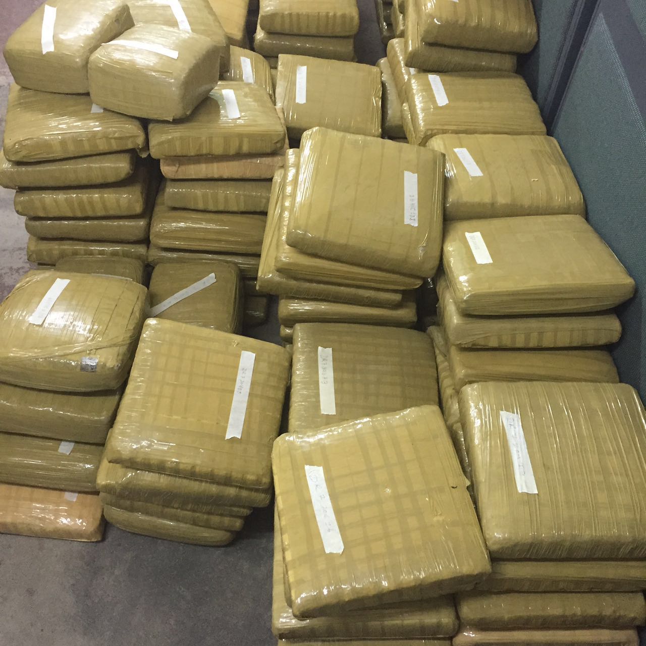 Huge marijuana bust in container with heavy duty equipment