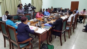 The Parliamentary Committee on Foreign Relations in session on Thursday under the chairmanship of the PPPC's Gail Teixeira (backing camera in blue dress).