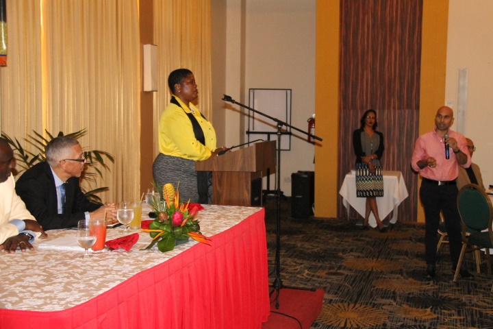 Guyana establishing public-private body on business development; economy not in crisis – Gaskin